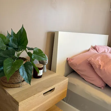 Newly Renovated Downtown In The Old Town Of Apartment