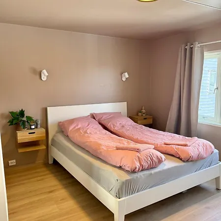 Newly Renovated Downtown In The Old Town Of Apartment *